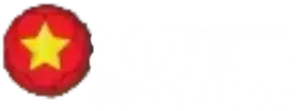 88vnd-logo